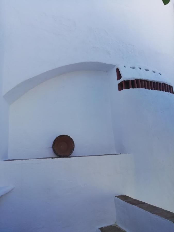 Casa Do Patio- Bed & Breakfast- City Center Portalegre Eksteriør billede