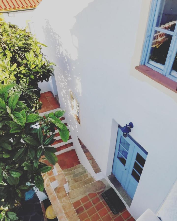 Casa Do Patio- Bed & Breakfast- City Center Portalegre Eksteriør billede